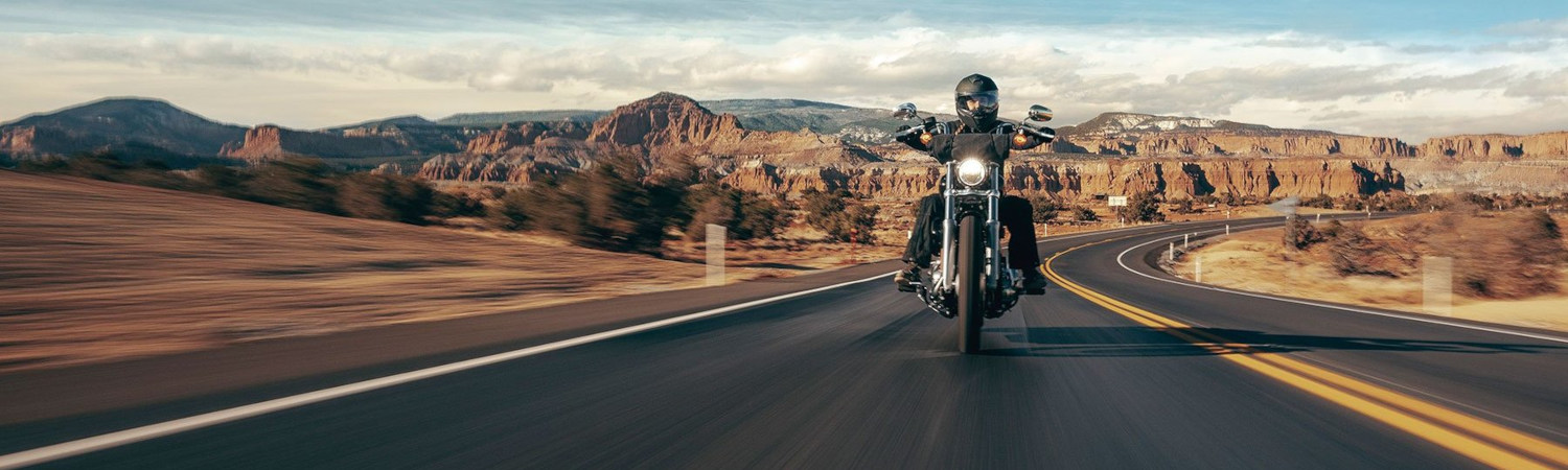 2024 Harley-Davidson® Motorcycle for sale in Chi-Town Harley-Davidson®, Tinley Park, Illinois